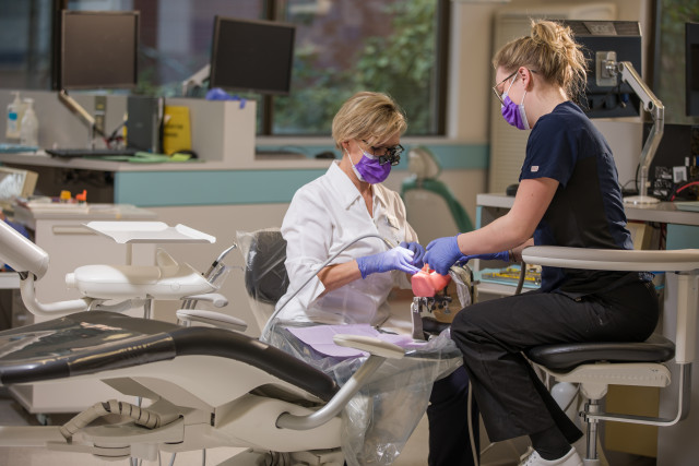 Certified Dental Assistant Certificate Camosun College 9317